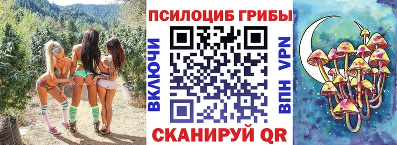 Галлюциногенные грибы ЛСД  Находка 